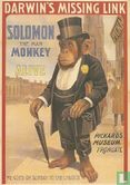 B002197 - Teylers Museum - Hooggeëerd Publiek "Solomon The Man Monkey" - Afbeelding 1