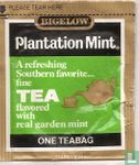 Plantation Mint [r] - Afbeelding 1