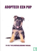 C050061 - KNGF "Adopteer Een Pup" - Afbeelding 1