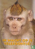 B040088 - Stichting AAP "Ik wacht op je telefoontje!" - Bild 1