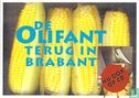 S000607 - Brabantse Milieufederatie "De Olifant terug in Brabant"   - Image 1
