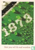 B001945 - Heineken "Met jou wil ik oud worden" - Afbeelding 1