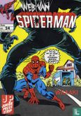 Web van Spiderman 24 - Afbeelding 1