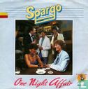 One Night Affair - Image 1