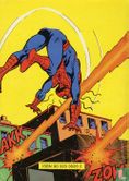 De spectaculaire Spider-Man 14 - Afbeelding 2