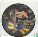 Sugar Mice (Radio Edit) - Afbeelding 1