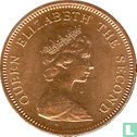 Falklandeilanden 1 penny 1980 - Afbeelding 2