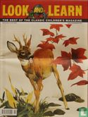New Series No.46 (A Roe deer buck) - Image 1