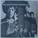 Are You Experienced ? - Image 2