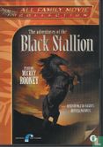 The Adventures of the Black Stallion - Image 1