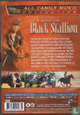 The Adventures of the Black Stallion - Image 2