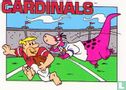 Cardinals - Afbeelding 1