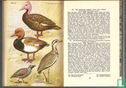 The book of Indian birds - Image 2