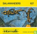 Salamanders - Image 1