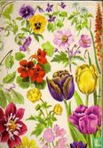 Tuinbloemen in kleuren - Image 2