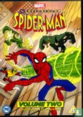 The Spectacular Spider-Man 2 - Image 1