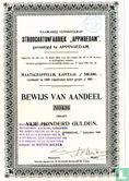 Stroocartonfabriek "Appingedam", Bewijs van aandeel vijf honderd gulden, 1905 - Afbeelding 1