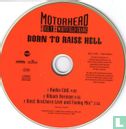 Born to Raise Hell
