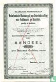 Nederlandsche Maatschappij van Zekerheidsstelling voor Ambtenaren en Beambten, Aandeel Duizend Gulden, 1891 - Image 1