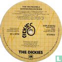 The incredible shrinking dickies - Image 3