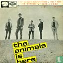 The Animals Is Here - Image 1