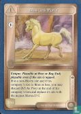 Bill the Pony - Image 1