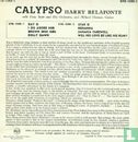 Calypso - Bild 2