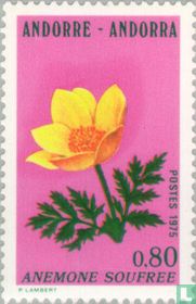 Fleurs acheter