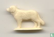 Chien