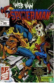 Web van Spiderman 33