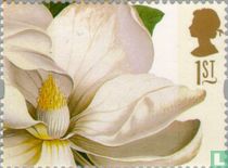 Blumen