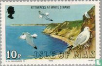 Les oiseaux de mer acheter