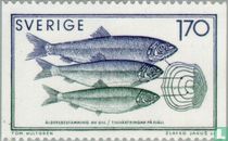 Marine Research