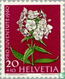 Blumen kaufen