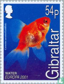 Europe – L'eau, richesse naturelle  acheter