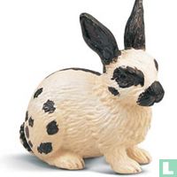 Kaninchen tiere katalog