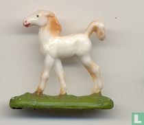 filly