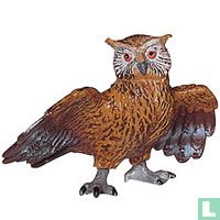 Owls animals catalogue