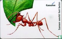 Gasunie, samen werkt het beter