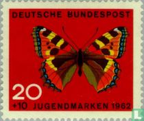 Schmetterlinge kaufen