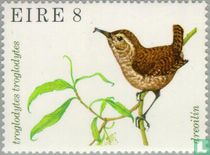 Wild birds
