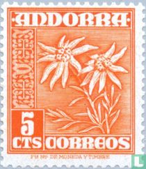 Edelweis