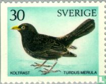 Schwedische Vögel kaufen