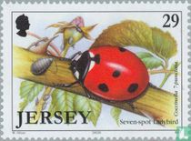 Insects for sale