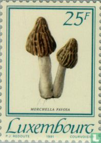 Pilze kaufen