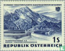Nationalized electricity industry 15 years for sale