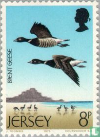 Brant
