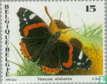 Vlinders kopen