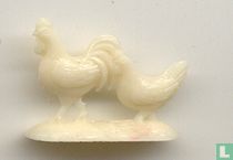 Chicken and rooster