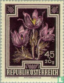 Fleurs acheter